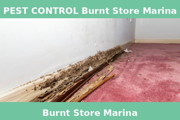 PEST CONTROL Burnt Store Marina